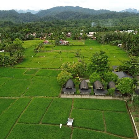 Gino'S Place - Guest House & Jungle Trekking บูกิตลาวัง ภายนอก รูปภาพ