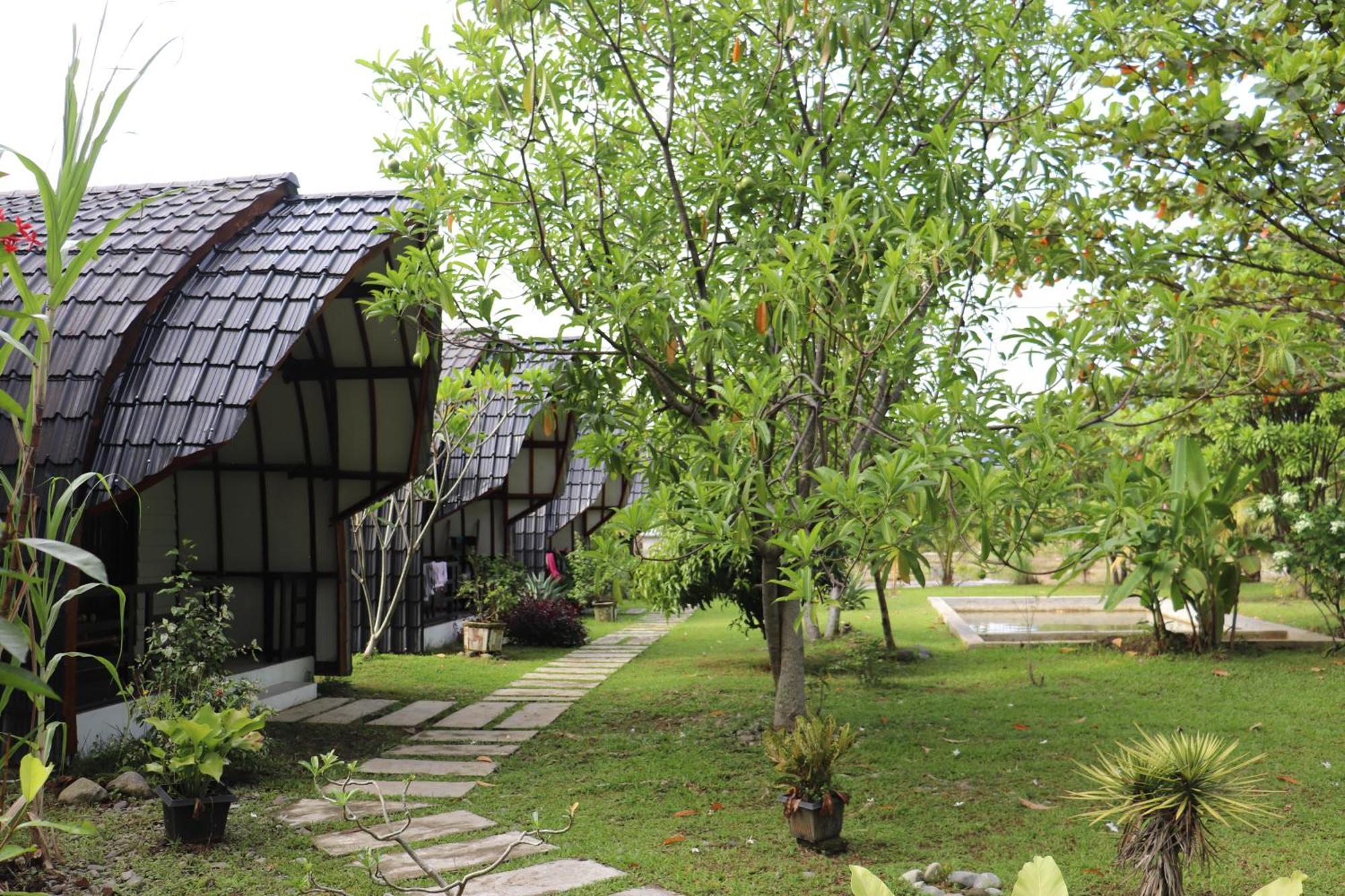 Gino'S Place - Guest House & Jungle Trekking บูกิตลาวัง ภายนอก รูปภาพ