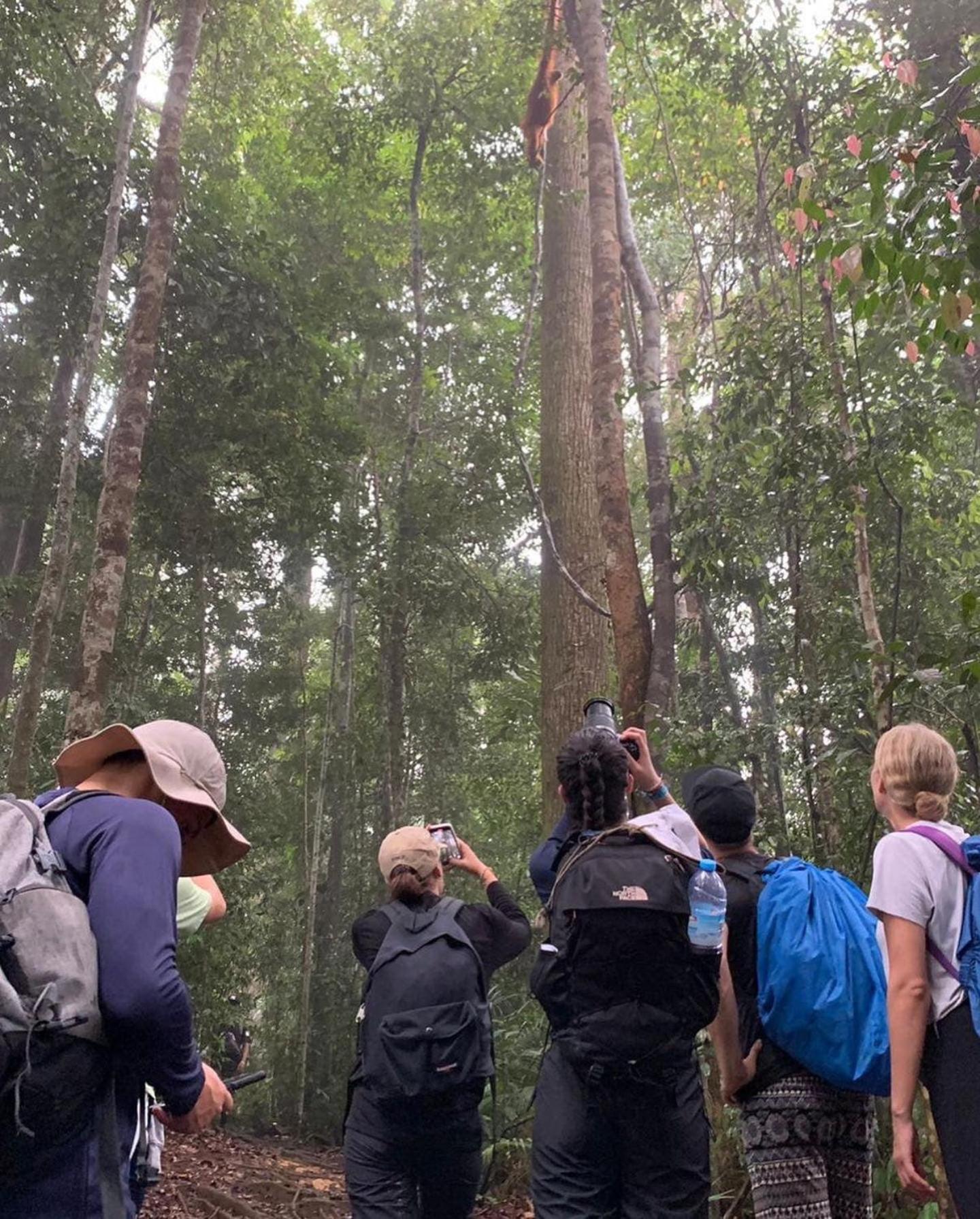 Gino'S Place - Guest House & Jungle Trekking บูกิตลาวัง ภายนอก รูปภาพ