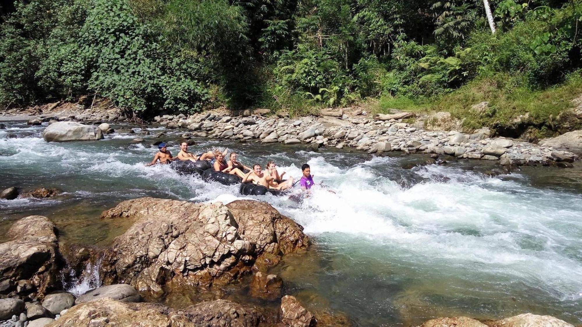 Gino'S Place - Guest House & Jungle Trekking บูกิตลาวัง ภายนอก รูปภาพ