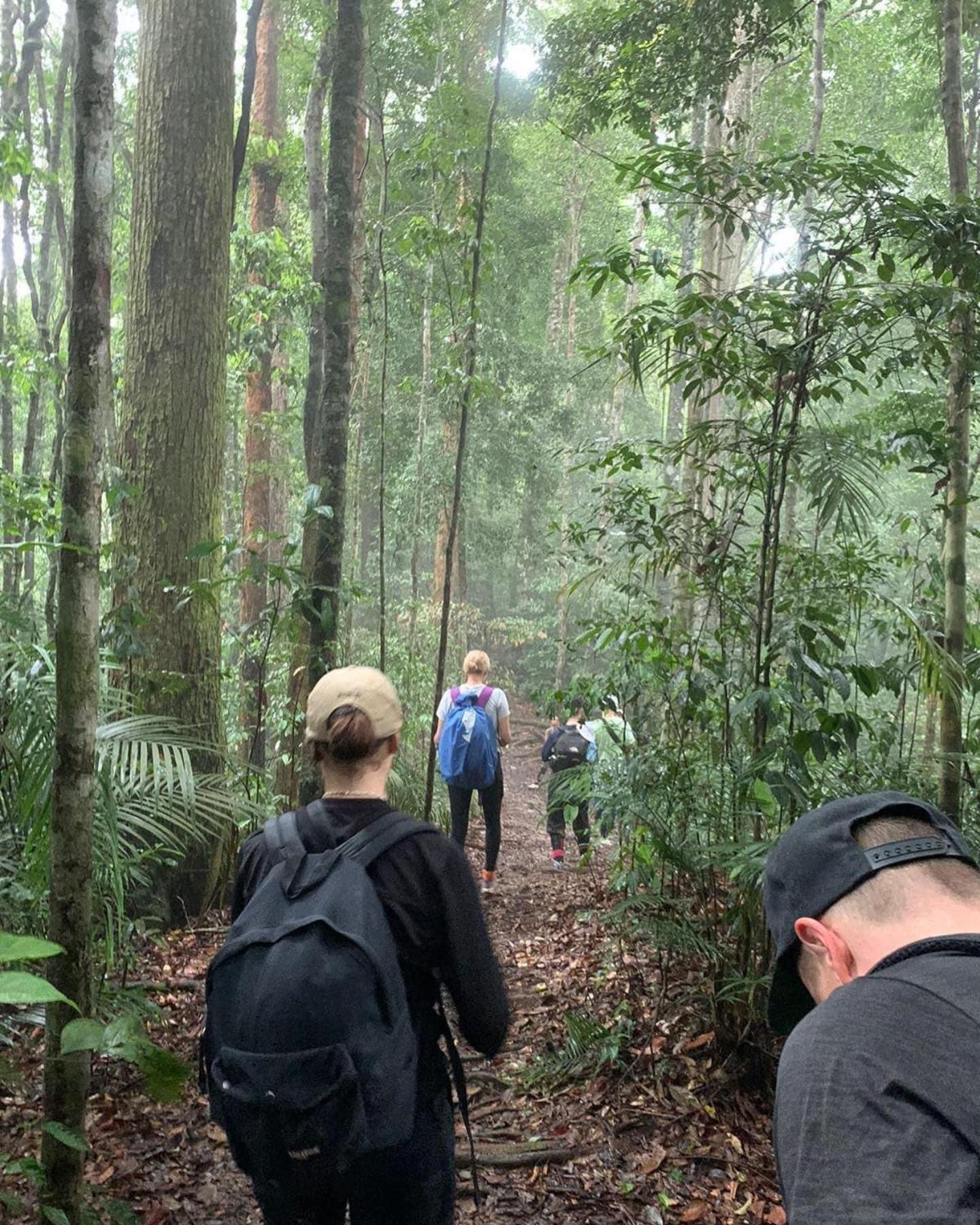 Gino'S Place - Guest House & Jungle Trekking บูกิตลาวัง ภายนอก รูปภาพ