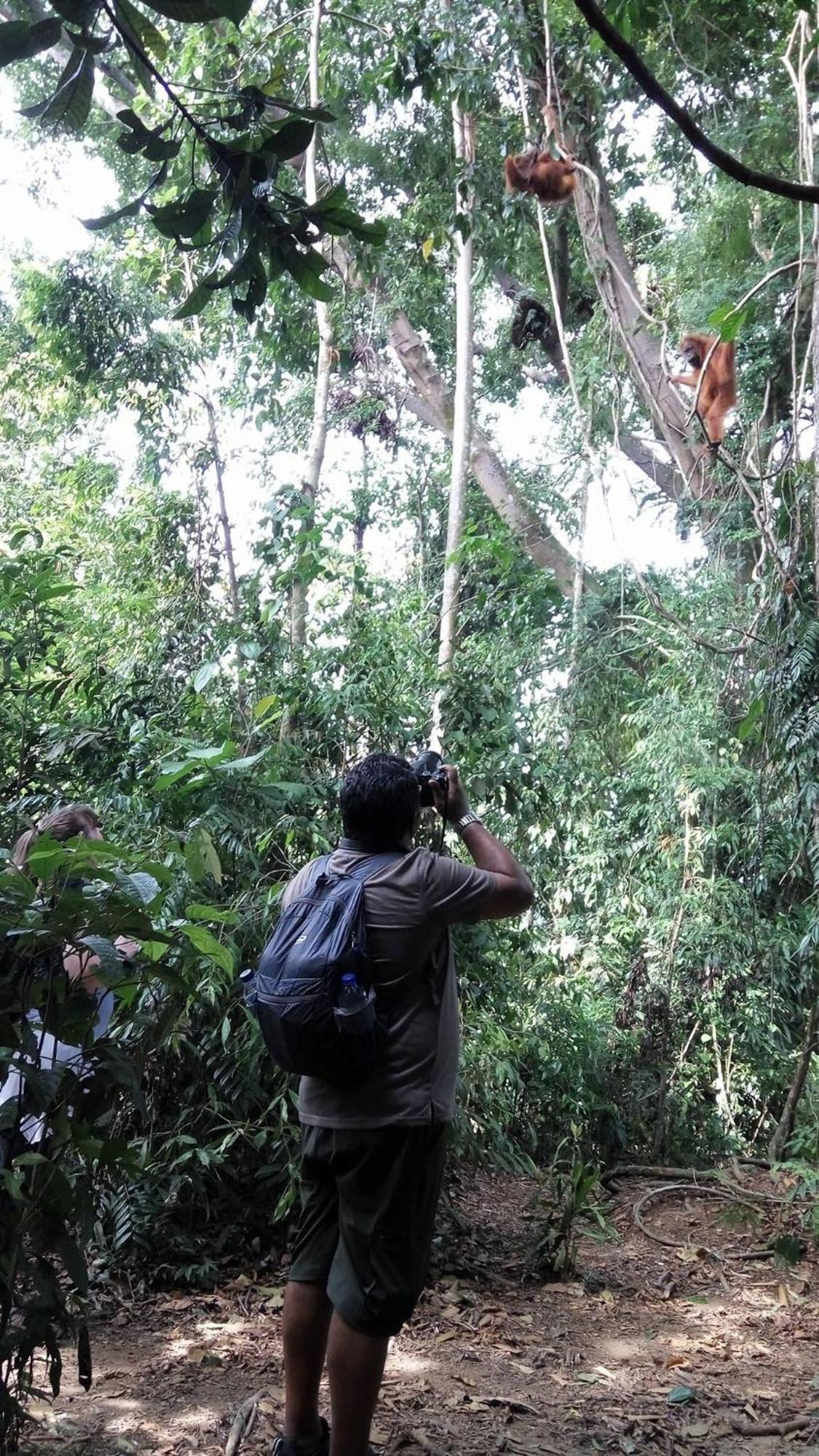 Gino'S Place - Guest House & Jungle Trekking บูกิตลาวัง ภายนอก รูปภาพ