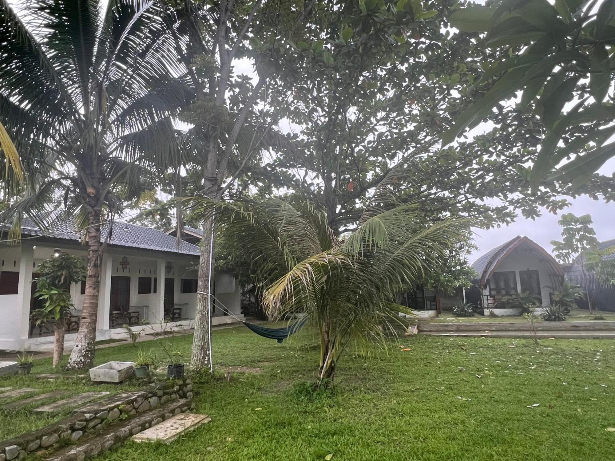Gino'S Place - Guest House & Jungle Trekking บูกิตลาวัง ภายนอก รูปภาพ