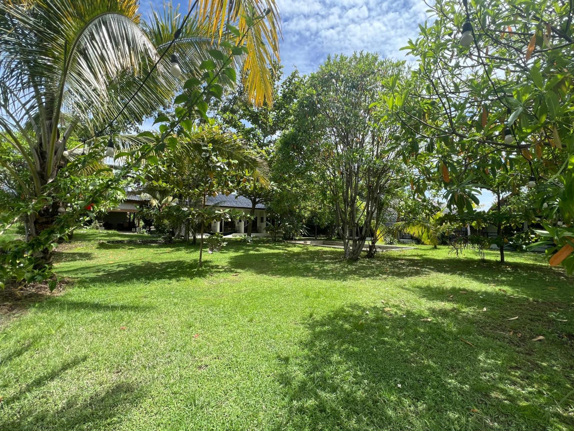 Gino'S Place - Guest House & Jungle Trekking บูกิตลาวัง ภายนอก รูปภาพ