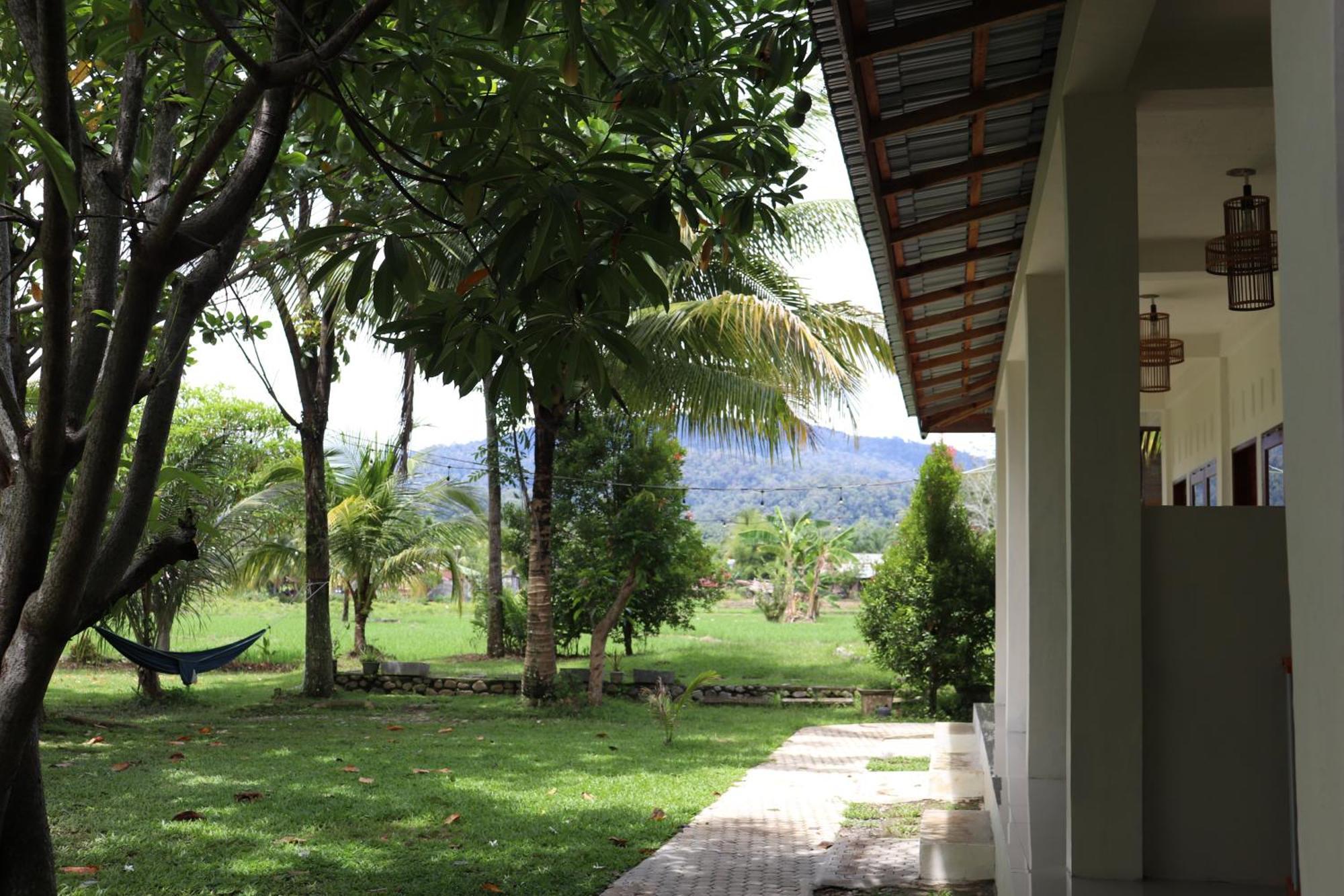 Gino'S Place - Guest House & Jungle Trekking บูกิตลาวัง ภายนอก รูปภาพ