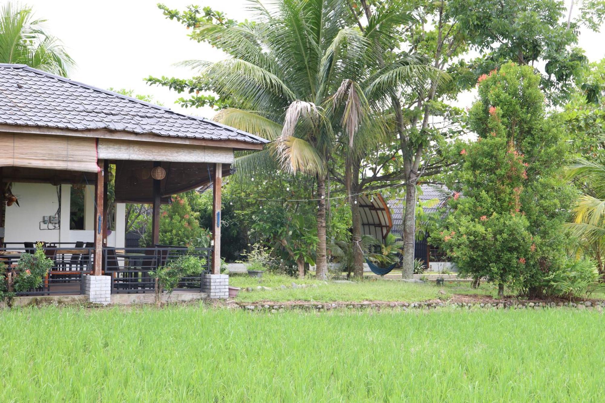 Gino'S Place - Guest House & Jungle Trekking บูกิตลาวัง ภายนอก รูปภาพ