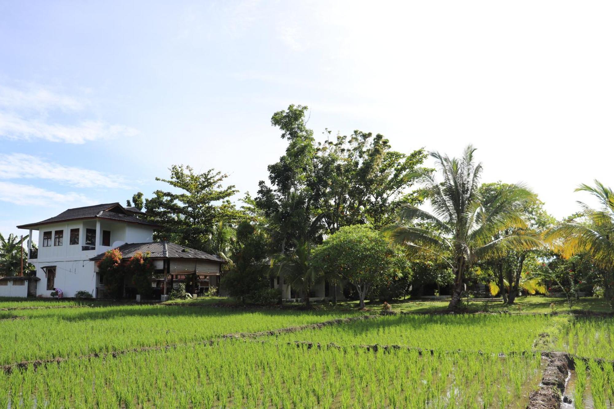 Gino'S Place - Guest House & Jungle Trekking บูกิตลาวัง ภายนอก รูปภาพ