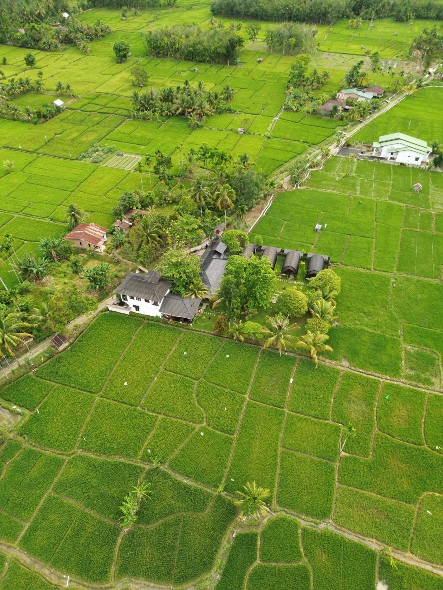 Gino'S Place - Guest House & Jungle Trekking บูกิตลาวัง ภายนอก รูปภาพ